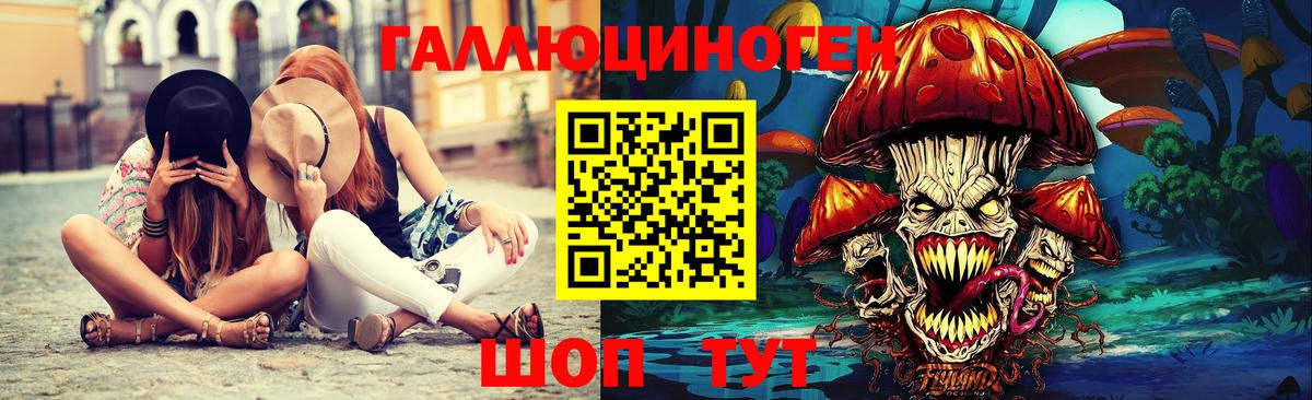 Галлюциногенные грибы Psilocybine cubensis Шелехов